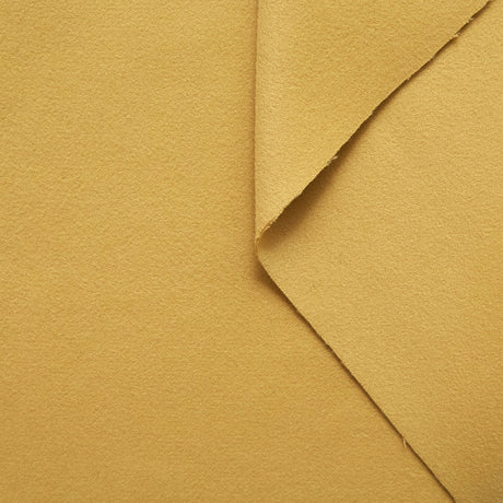 T20A00234 | Double Face Wool And Cashmere Felt