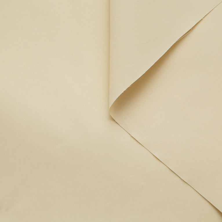 T20A00254 | Cotton Silk Poplin - view 1