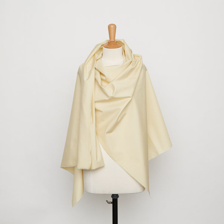 T20A00254 | Cotton Silk Poplin - view 2