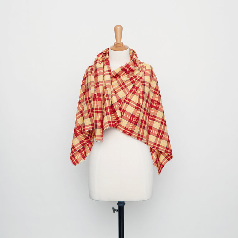 t20a00306 | Popeline Madras en Coton et Soie - vue 2