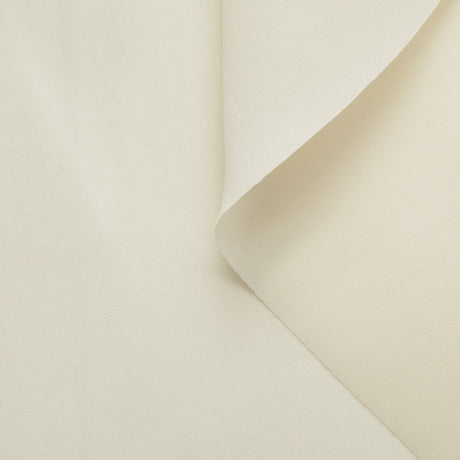 T20A00307 | Stretch Organdi