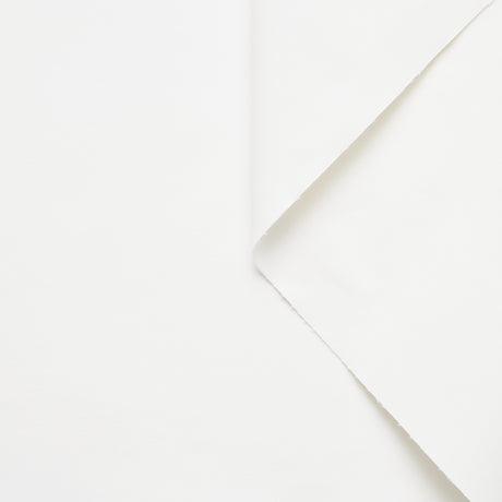 T20A00335 | WR Bonded Cotton Canvas