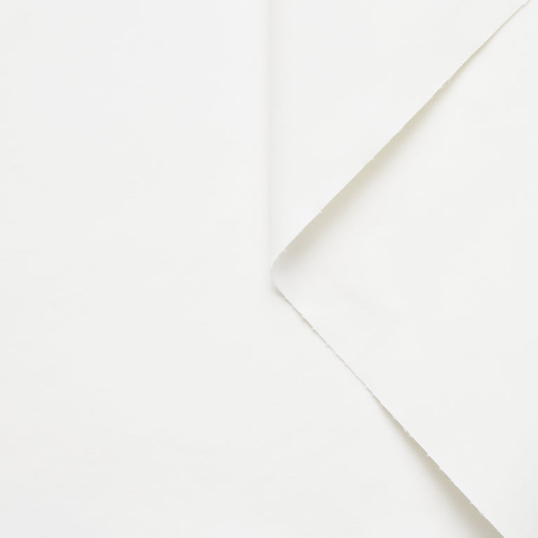 T20A00335 | WR Bonded Cotton Canvas - view 1