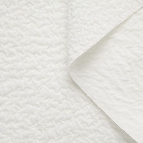 T20A00372 | Cloudy Cloque