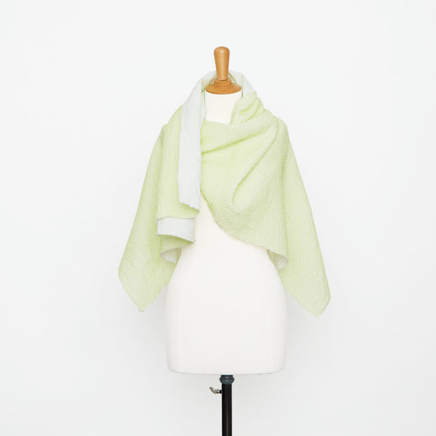 T20A00372 | Cloudy Cloque