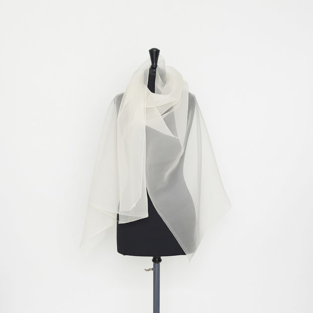 T21B00385 | Silk Organza