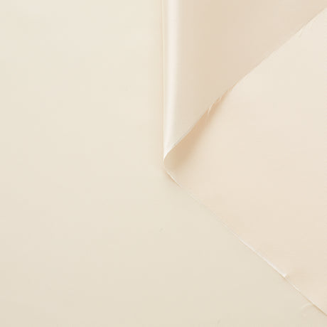 T21B00392 | Shiny Viscose & Cupro Lining