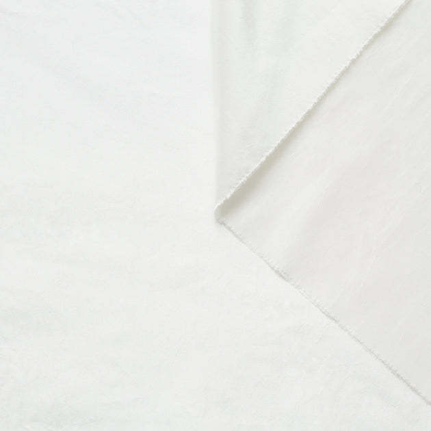 T21B00393 | Washed Silk Taffetas