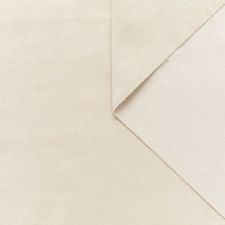 T21B00516 | Stretch Cotton Velvet - view 1