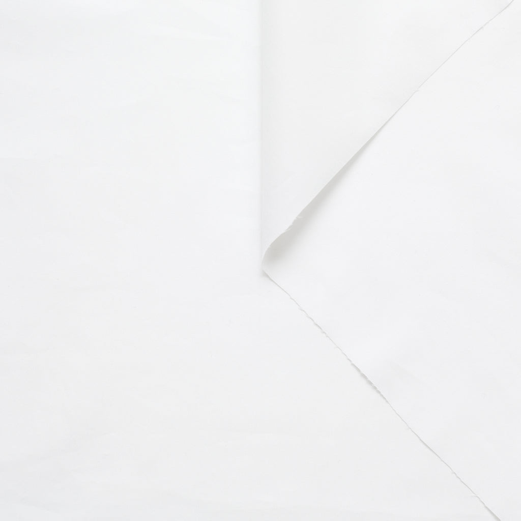 T21B00531 | Polycotton Poplin