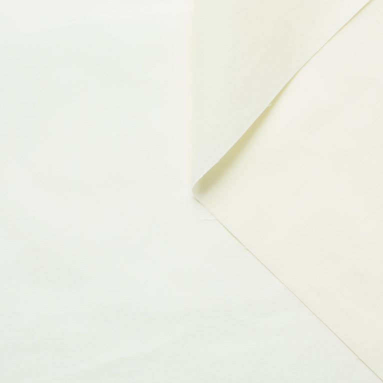 t21c00633 |  - vue 19