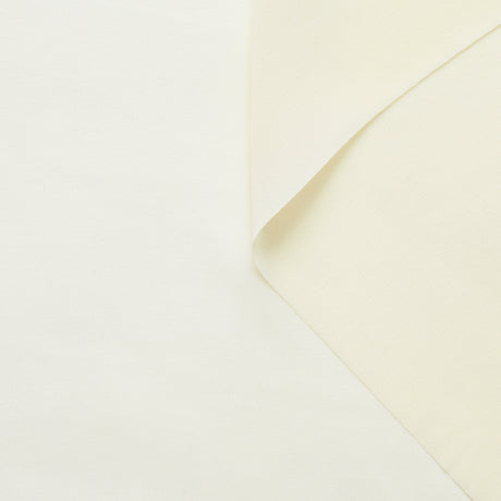 T21C00643 | Sheer Silk Crepe Georgette