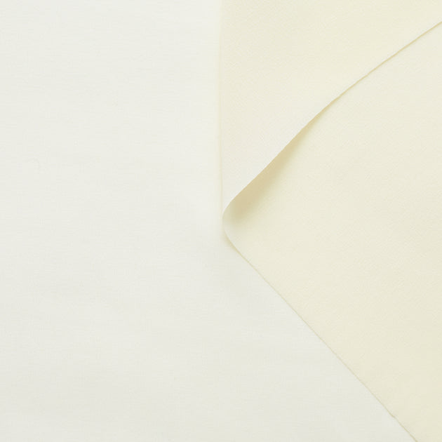 T21C00643 | Sheer Silk Crepe Georgette