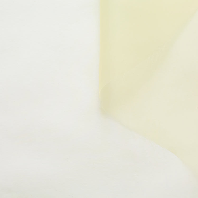 t21c00678 | Organza Liquide Technique - vue 1