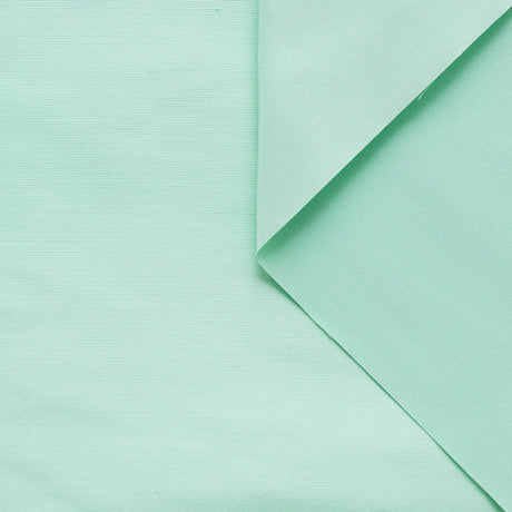 t21c00680 | Faille Taffetas