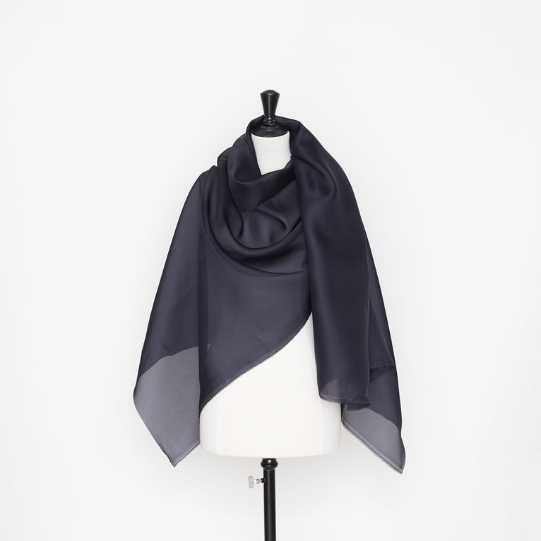 t22a01055 | Organza en Soie - vue 2