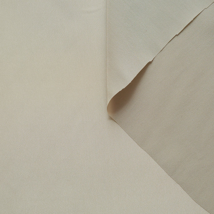 T22A01072 | Crepe de Chine - view 1