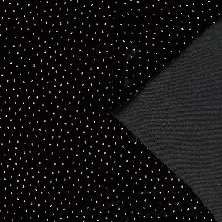 t22a01107 | Velours À Pois Scintillant - vue 1