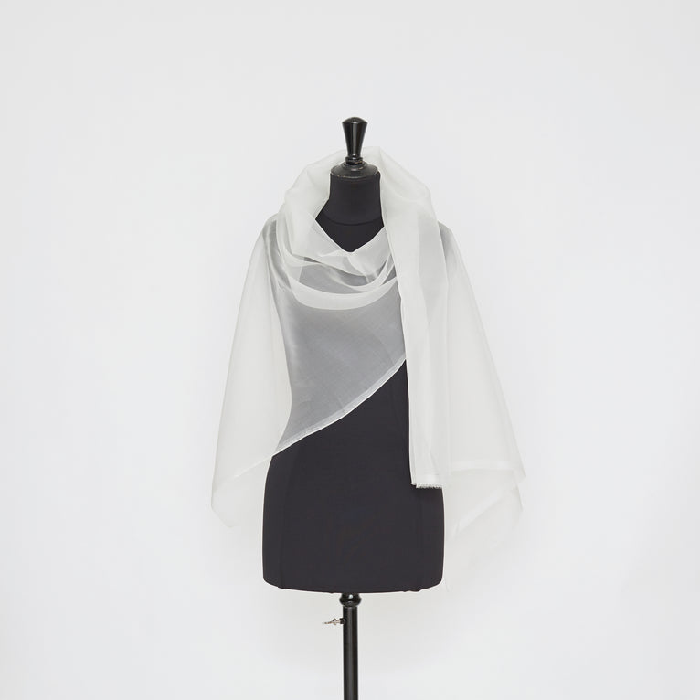 t22a01110 | Organza en Soie - vue 2