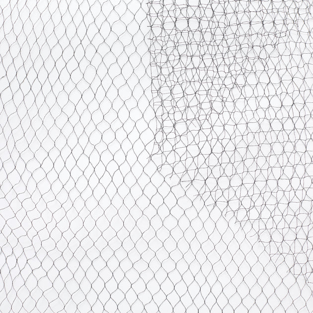 T22A01151 | Thin Voilette