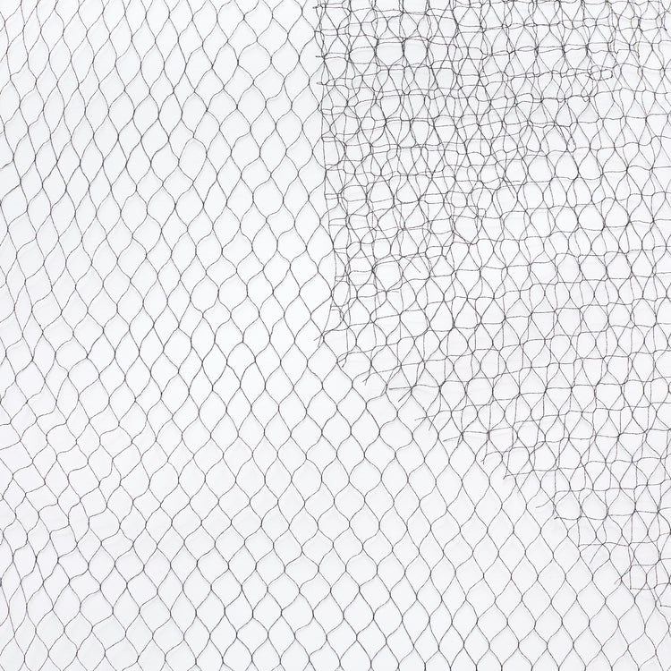 T22A01151 | Thin Voilette - view 1