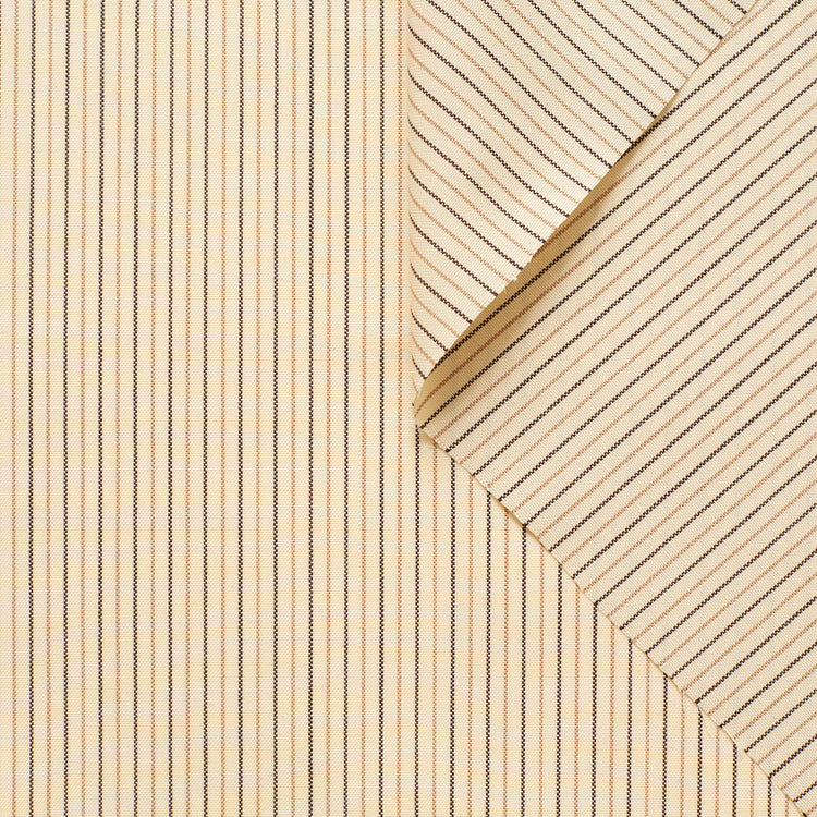t22a01196 | Laine Rayée - vue 1