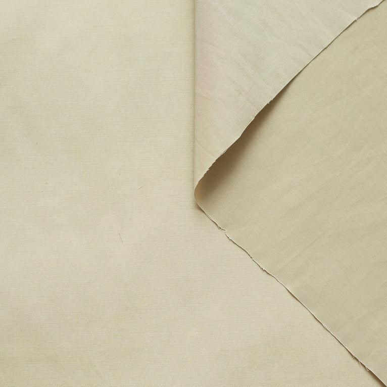T22A01413 | Waterproof Silk &amp; Cotton Poplin - view 1