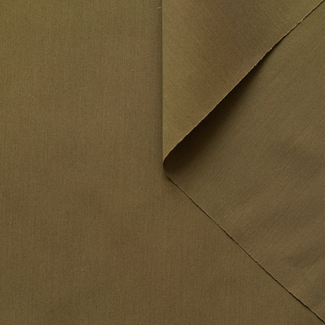 T22A01420 | Cotton & Silk Poplin