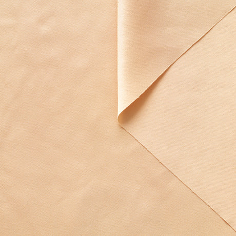 T22A01437 | Shiny Silk Twill