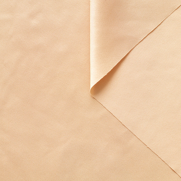 T22A01437 | Shiny Silk Twill