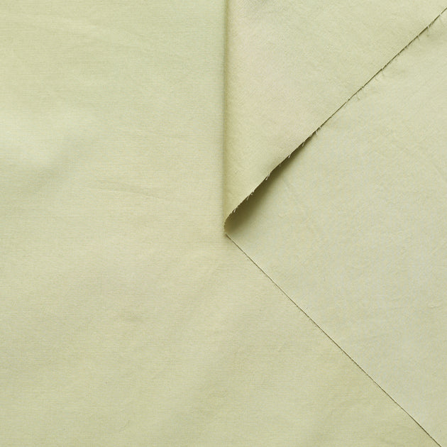 t22a01456 | Popeline De Coton Polie