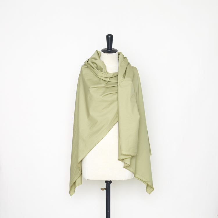 T22A01456 | Polished Cotton Poplin - view 2