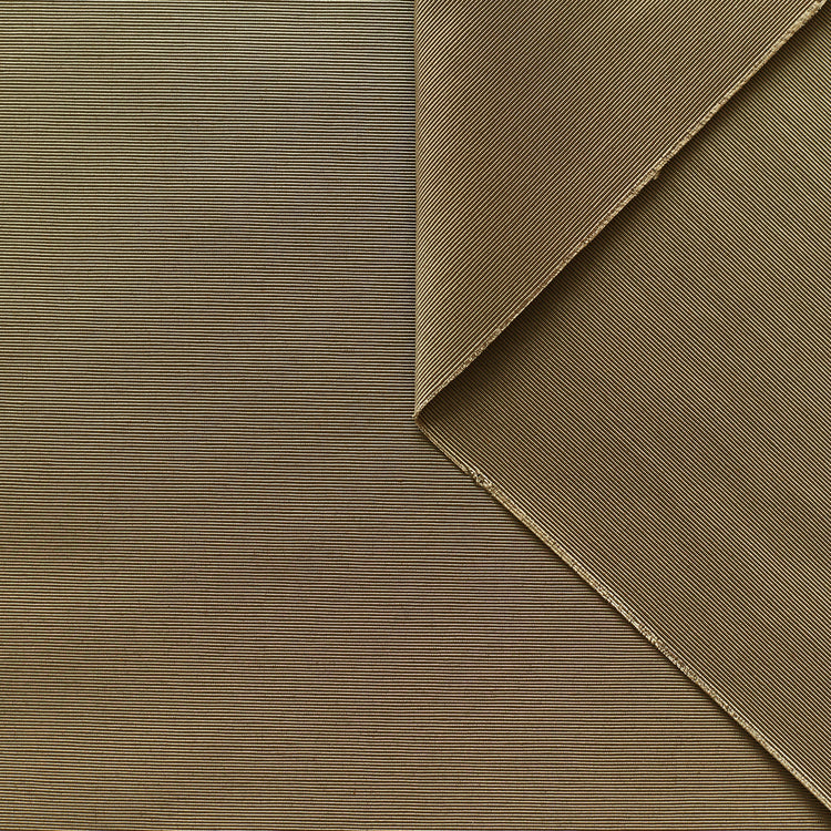 t22a01459 | Faille Polie - vue 1