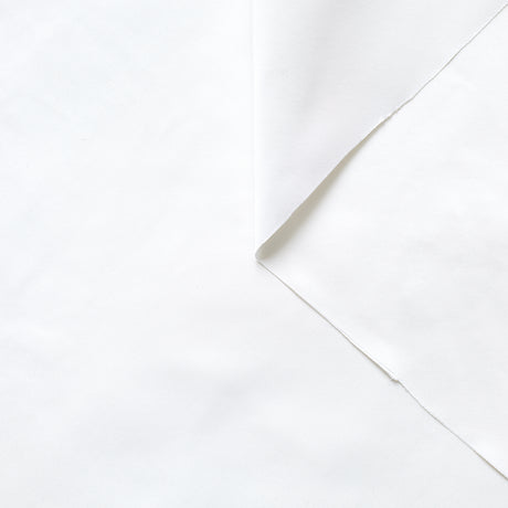 t22a01460 | Radzimir Poli
