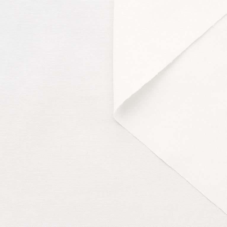 T22A01502 | Dry Ramie &amp; Viscose Canvas - view 2
