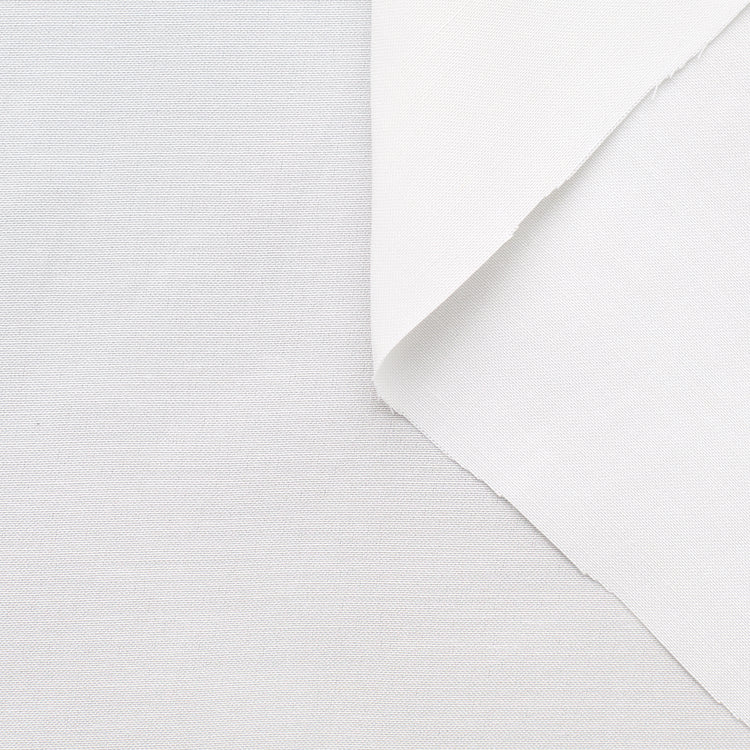 T22A01502 | Dry Ramie &amp; Viscose Canvas - view 1