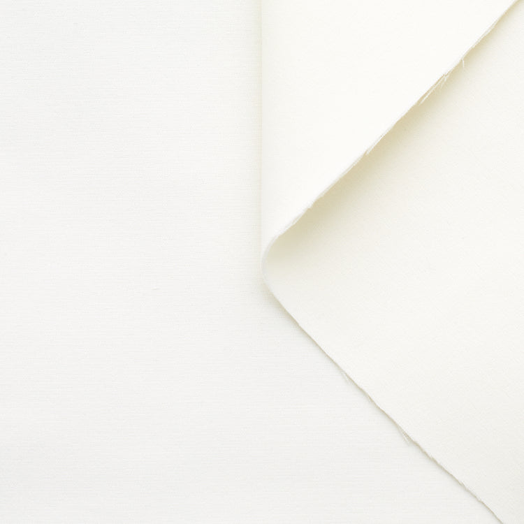 T22A01530 | Heavy Splittable Cotton Suiting - view 1