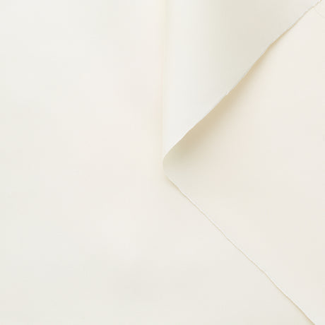 t22a01551 | Radzimir Léger