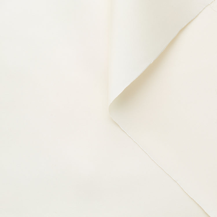 t22a01551 | Radzimir Léger - vue 1