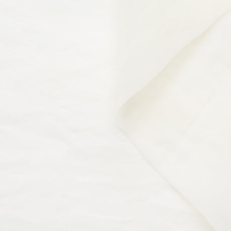 T22A01552 | Pleatable Organza