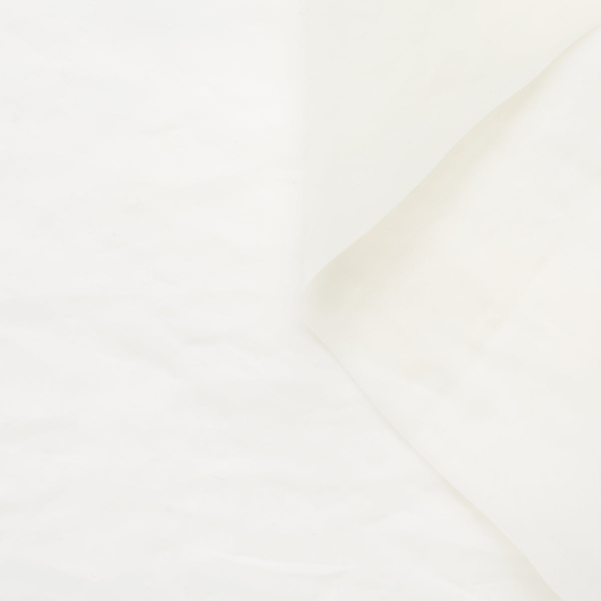 T22A01552 | Pleatable Organza