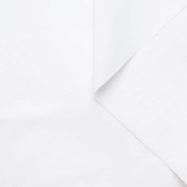 t22a01568 | Popeline de Coton Doux - vue 1