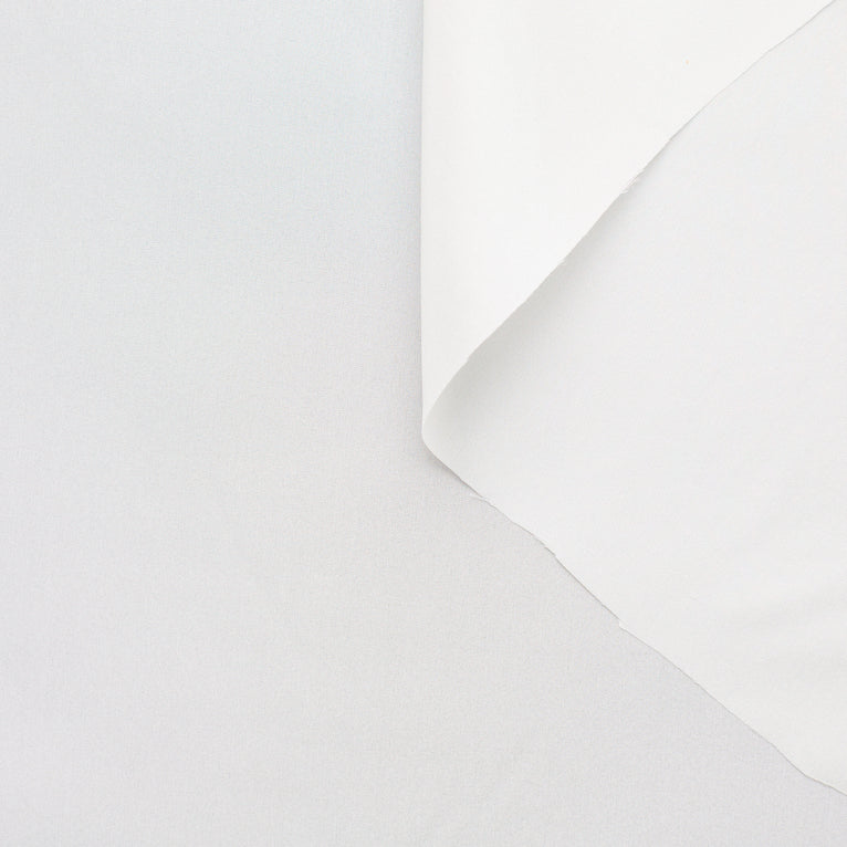 T22A01586 | Light Silk Pongee - view 1