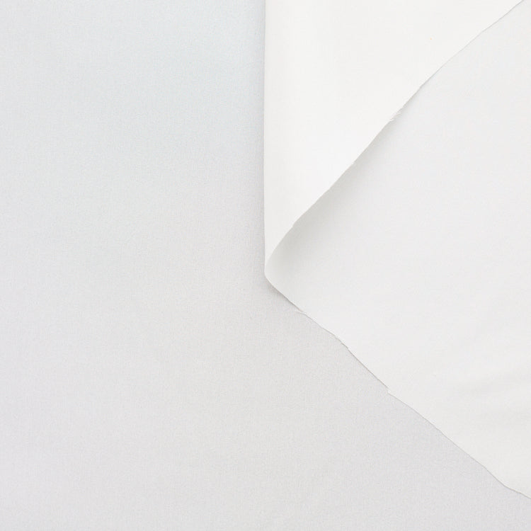 T22A01586 | Light Silk Pongee - view 1