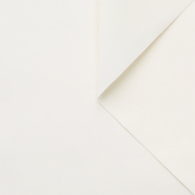 T22A01590 | Crispy Cotton Micro Faille