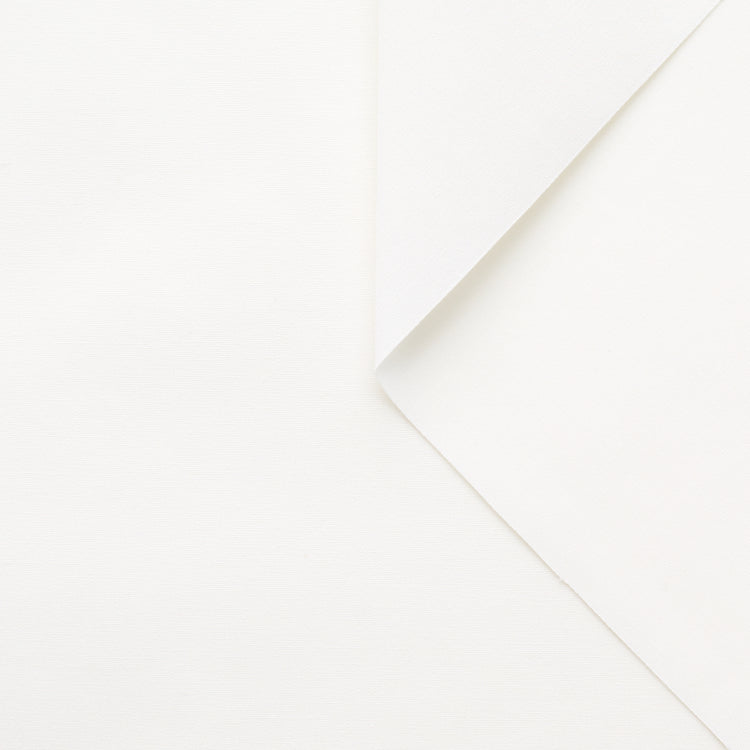 t22a01590 | Micro Faille de Coton Craquante - vue 1