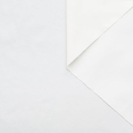 t22a01594 | Popeline de Coton