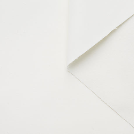 t22a01595 | Moleskine de Coton Déperlant