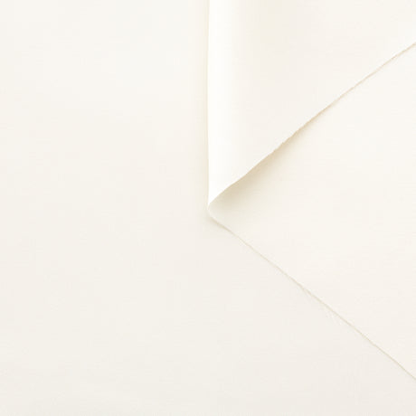 T22A01612 | Shiny Viscose Cady