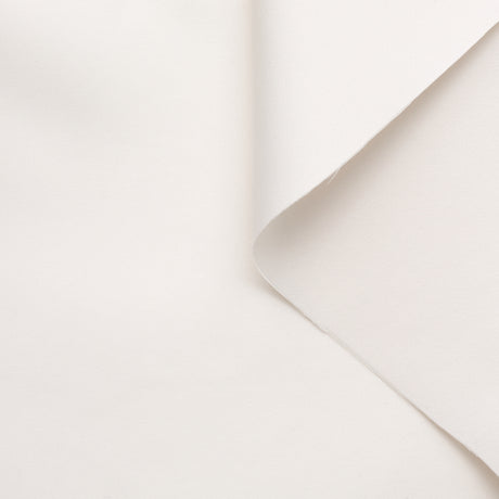 t22a01622 | Radzimir Polysilk